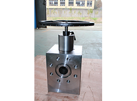 Adjustable Choke valve-2